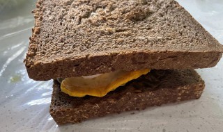 黑麦三明治面包的做法 黑麦面包怎么做三明治