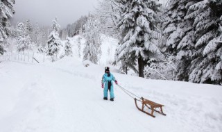 雪灾等级怎么划分 雪灾等级怎么划分的