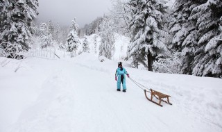 暴雪预警级别颜色（暴雪预警级别颜色等级）