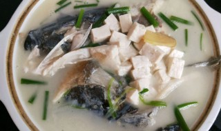 鱼头萝卜豆腐汤的做法窍门 鱼头萝卜豆腐汤的做法窍门是什么