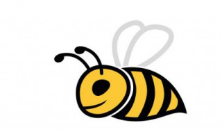 蜜蜂喂什么能加快繁殖 蜜蜂喂什么能加快繁殖能力