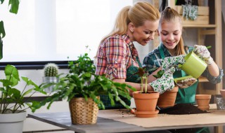 植物用什么办法散播种子 植物用什么办法散播种子的气味