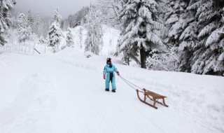 新车用扫把扫了积雪 新车用扫把扫了积雪怎么办