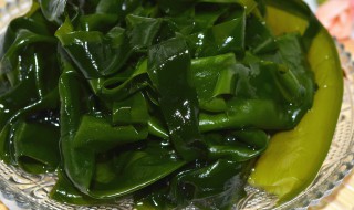 海白菜可以冷冻保存吗多久 海白菜可以冷冻保存吗