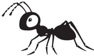 关于蚂蚁的故事 关于蚂蚁的故事50字