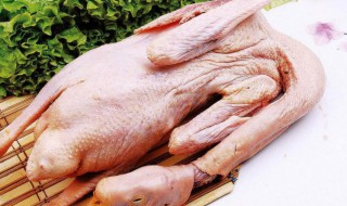 吃鹅肉能使什么病恶化 什么病不能吃鹅肉会发病