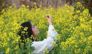 春天拍花穿什么衣服（春天拍花穿什么衣服好）