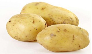 土豆的营养价值及功效与作用 土豆的营养价值及功效与作用和禁忌