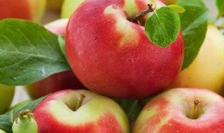 苹果营养价值及功效与作用 苹果的营养与功效及作用