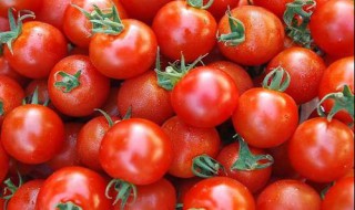 西红柿的营养价值及功效与作用 西红柿营养价值与功效与作用