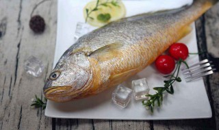 养殖黄花鱼的营养价值及功效与作用 黄花鱼的营养价值及功效与作用