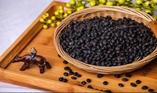 黑豆的营养价值及功效与作用禁忌 黑豆的营养价值及功效与作用