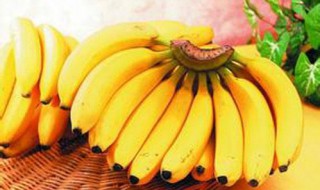 香蕉的营养价值及功效与作用及禁忌 香蕉的营养价值及功效与作用
