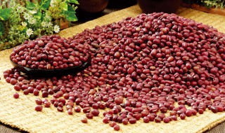 红豆的营养价值及功效与作用及禁忌 红豆的营养价值及功效与作用
