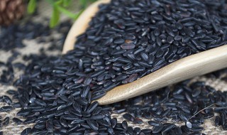 黑米的营养价值及功效与作用和禁忌 黑米的营养价值及功效与作用