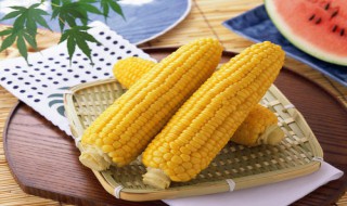 水果玉米的功效与作用及营养价值 玉米的功效与作用及营养价值