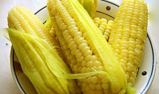 粘玉米的营养价值及功效与作用有哪些 了解一下