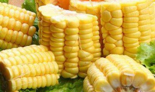 黄粘玉米的营养价值及功效与作用 玉米的营养价值及功效与作用