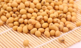 黄豆的营养价值和功效与作用 黄豆的营养价值及功效与作用
