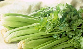 芹菜的营养价值及功效与作用 芹菜的营养成分及功效