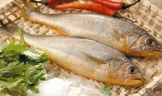 黄鱼的营养价值及功效与作用 黄鱼的营养价值及功效与作用及禁忌