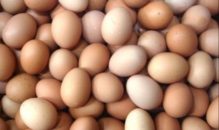 鸡蛋的营养价值及功效与作用和禁忌 鸡蛋的营养价值及功效与作用