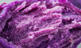 紫薯的营养价值及功效与作用禁忌 紫薯的营养价值及功效与作用