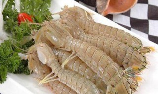 皮皮虾的营养价值及功效与作用 皮皮虾的营养价值及功效与作用治疗咳嗽的海鲜