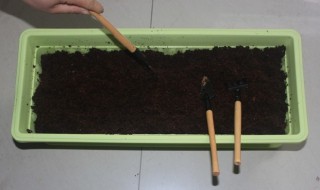 天台种菜的土壤怎样才能不实 天台菜园用什么泥土