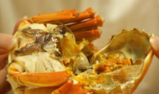 螃蟹的营养价值功效 螃蟹营养价值功效作用