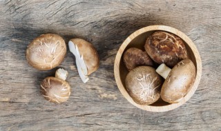 香菇焖白菜怎么做 香菇焖白菜怎么做才好吃