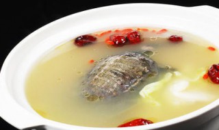 清炖甲鱼汤的做法 清炖甲鱼汤的做法加什么药材