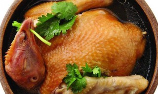 砂锅肥鸡怎么做 砂锅肥鸡怎么做好吃