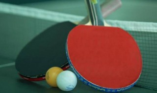 乒乓球规则及裁判知识 乒乓球规则