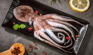 卤汁焖章鱼怎么做 酱焖章鱼做法