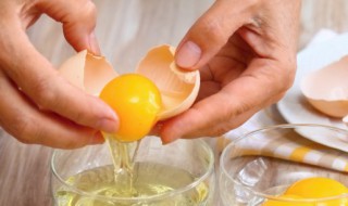 蛋包烧面怎么做视频 蛋包烧面怎么做
