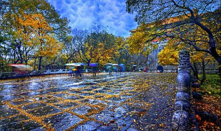 俗语一场秋雨一场寒有科学依据吗（俗语一场秋雨一场寒有科学依据吗有还是没有）