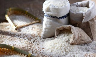 为什么明明密封很好的大米还会长出米虫 密封很好的大米还会长出米虫的原因