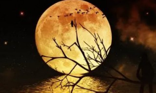 诗词描写的是中秋的月亮 诗词描写的是中秋的月亮对吗