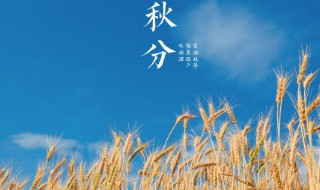 秋分有哪些习俗（秋分有哪些民俗）