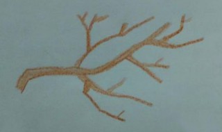 树枝怎么画 简单 树枝怎么画