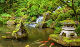 庭院鱼池风水讲究与禁忌（庭院里做鱼池风水里有讲究?）