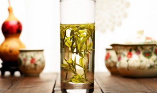 紫笋茶属于什么茶为什么没有生产日期 紫笋茶属于什么茶