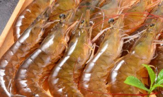 铁板蒜蓉虾的做法 铁板蒜蓉虾的做法视频