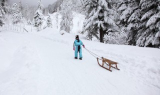 大雪节气会下雪吗（为什么有大雪这个节气）