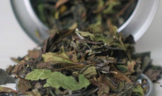 寿眉是什么茶 野生寿眉是什么茶