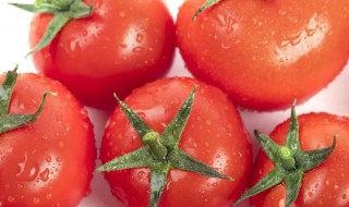 西红柿怎么吃最减肥 西红柿怎么吃最减肥效果好