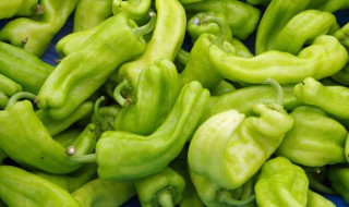 青椒有什么营养和功效 青椒有什么营养和功效视频