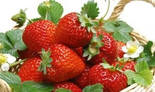吃草莓对什么有好处 吃草莓对什么有好处呢