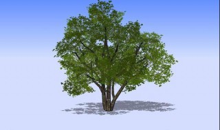 3dmax树的模型 3dmax树模型在哪里找